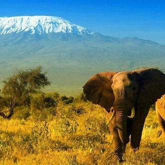 tourhub | Bencia Africa Adventure & Safaris Ltd | 2-Day Amboseli safari from Nairobi 