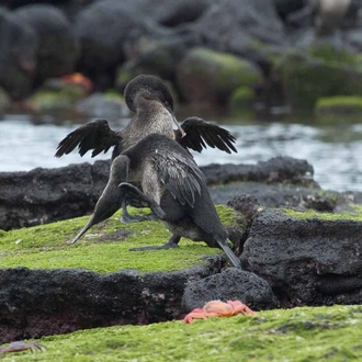 tourhub | Latin Trails | Galapagos Western, Central and Northern Islands Cruise 