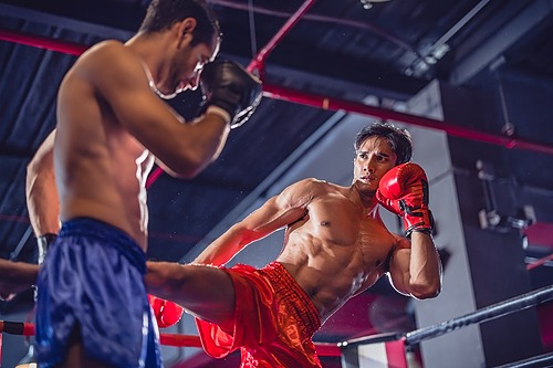 Représentation de la formation : Accompagnement partiel à la VAE en présentiel - BPJEPS Boxe - 20 Heures 