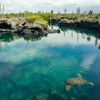 tourhub | Ecuador Galapagos Travels | 8 Days Galápagos Island Hopping Adventure: Wildlife & Wonders 