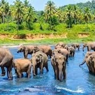 tourhub | Explore Vacations | Exclusive Honeymoon Days in Sri Lanka 