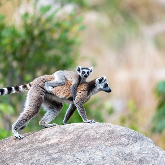 tourhub | Exodus Adventure Travels | Cycle Madagascar 