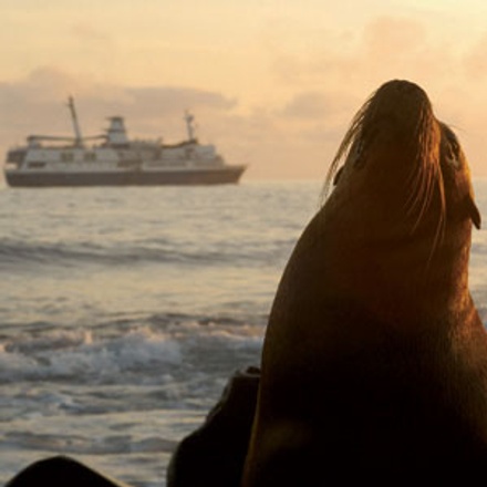 Discover the Galápagos & Peru with the Amazon - 2024