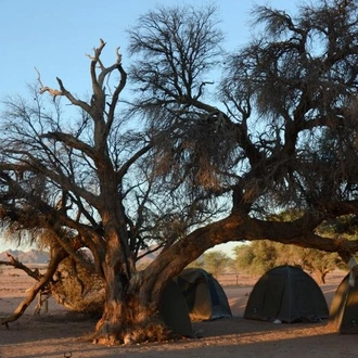 tourhub | Chameleon Safaris Namibia | 6 Day Sand, Sea & Etosha Budget Camping Safari 