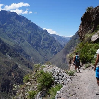 tourhub | Tangol Tours | 3-day Colca Canyon Trek Tour Adventure - Private Room 