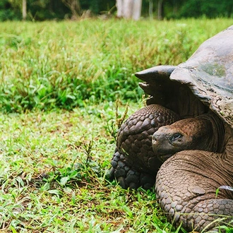 tourhub | Intrepid Travel | Ultimate Galapagos: Central Islands (Grand Daphne) 