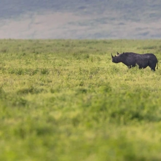 tourhub | Alaitol Safari | 9 Days Unforgettable Tanzania  