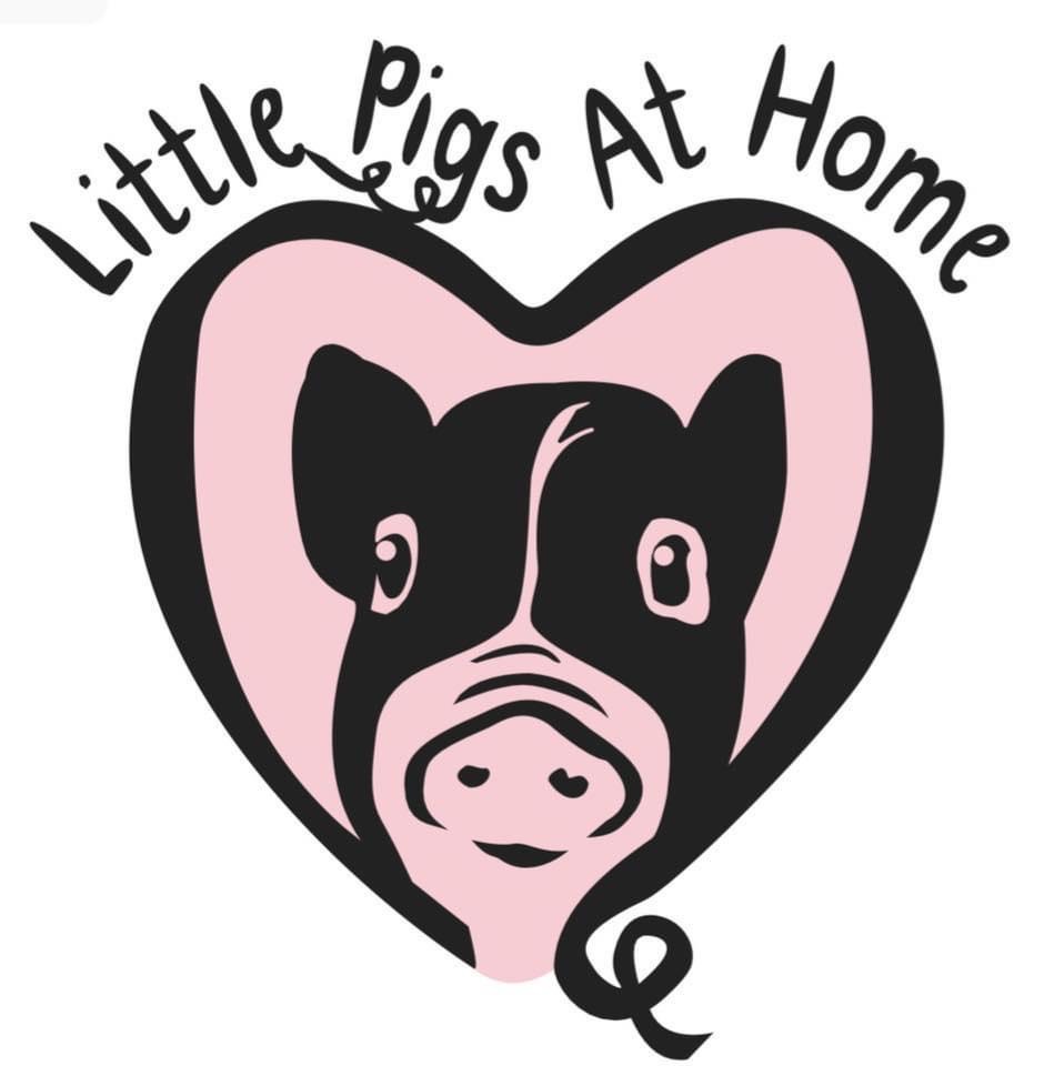 Little Pigs at Home Animal Sanctuary logo