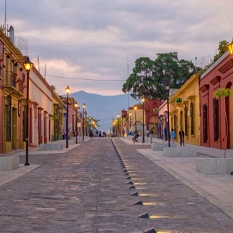 tourhub | Intrepid Travel | Premium Mexico City to Oaxaca 