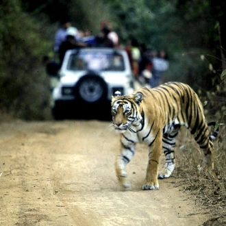 tourhub | Holidays At | North India Family Holiday 