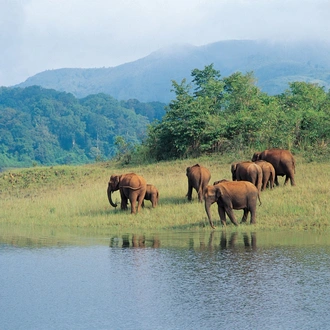 tourhub | Panda Experiences | Kerala Backwaters Tour 