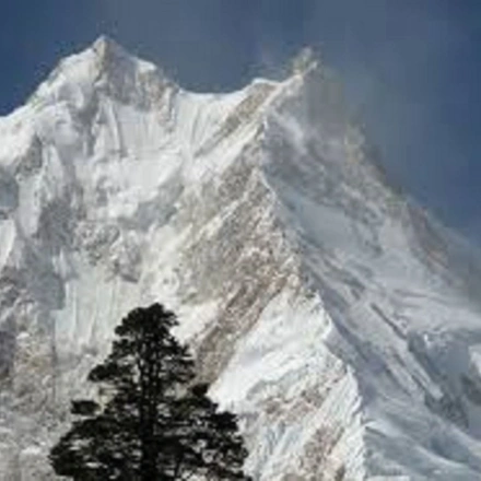 Bhimtang Panorama Trekking 10 Days 9 Night
