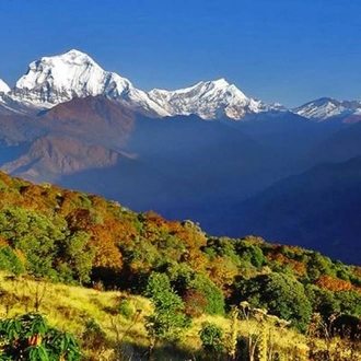 tourhub | Go Nepal Travel Tours & Trekking  | Ghorepani Poonhill Trekking 