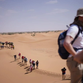 tourhub | Adrar Aventure & Bespoke Adventure | Sahara Desert Trek Adventure Challenge 