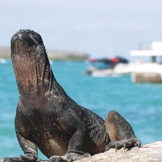 tourhub | On The Go Tours | Highlights of the Galapagos - 14 days 