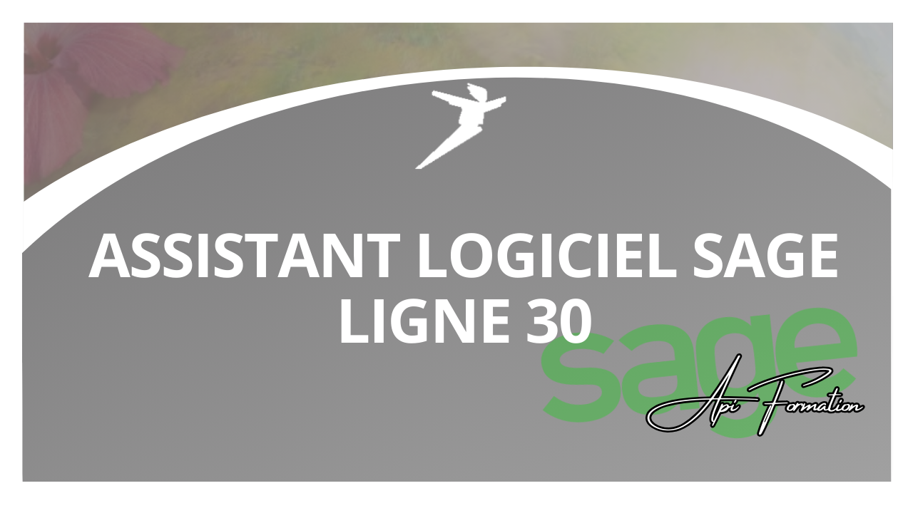 Représentation de la formation : ASSISTANT LOGICIEL SAGE LIGNE 30