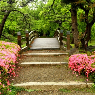 tourhub | Brightwater Holidays | Seasonal Gardens of Japan 665 