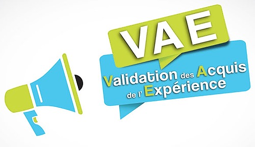 Représentation de la formation : VAE : BAC PRO - Accompagnement, Soins et Services à la Personne (ASSP)