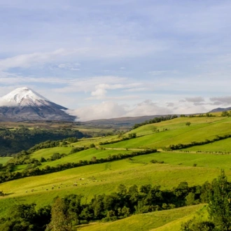 tourhub | Indus Travels | Best Of Ecuador 