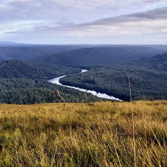 tourhub | Intrepid Travel | Walk Tasmania's Tarkine & Cradle Mountain 