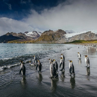 tourhub | Intrepid Travel | Falklands, South Georgia and Antarctica: Explorers and Kings 