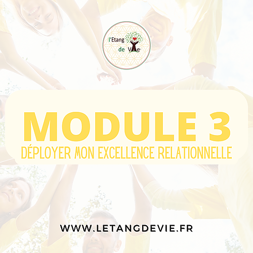 Représentation de la formation : Module 3 : Déployer mon excellence relationnelle