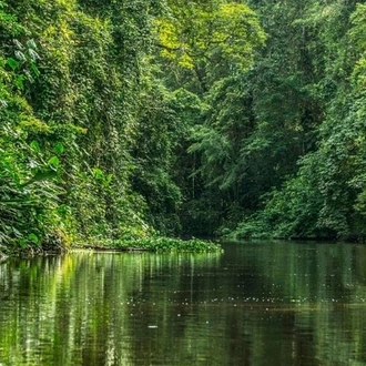 tourhub | Destiny Travel Costa Rica  | 3-Day Tour in Tortuguero National Park with Pick Up 