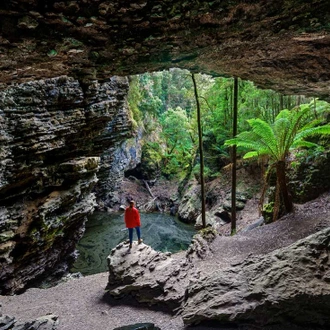 tourhub | Intrepid Travel | Best of Tasmania's Tarkine & Cradle Mountain 