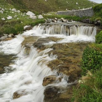 tourhub | Brightwater Holidays | Gardens and Wildflowers of the Burren 5924 