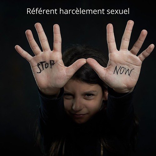 Représentation de la formation : Référent Harcèlement sexuel