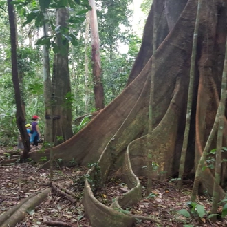 tourhub | Bamba Travel | Puerto Maldonado Amazon Eco-Lodge 4D/3N (from Puerto Maldonado) 