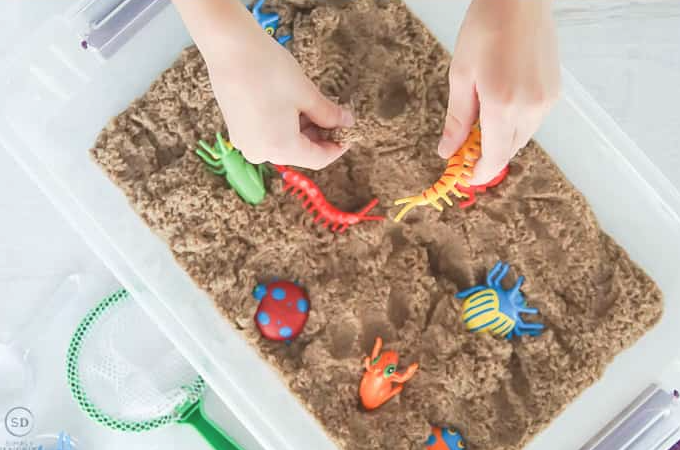 20 Insect Activities For Preschoolers - Teaching Expertise