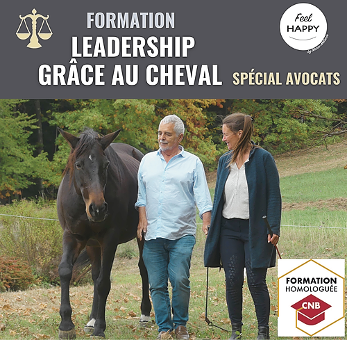 Représentation de la formation : Leadership grâce au cheval - spécial avocats