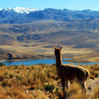 tourhub | Lima Tours | Huaraz, the Heart of the Mountains - Semi-private tour 