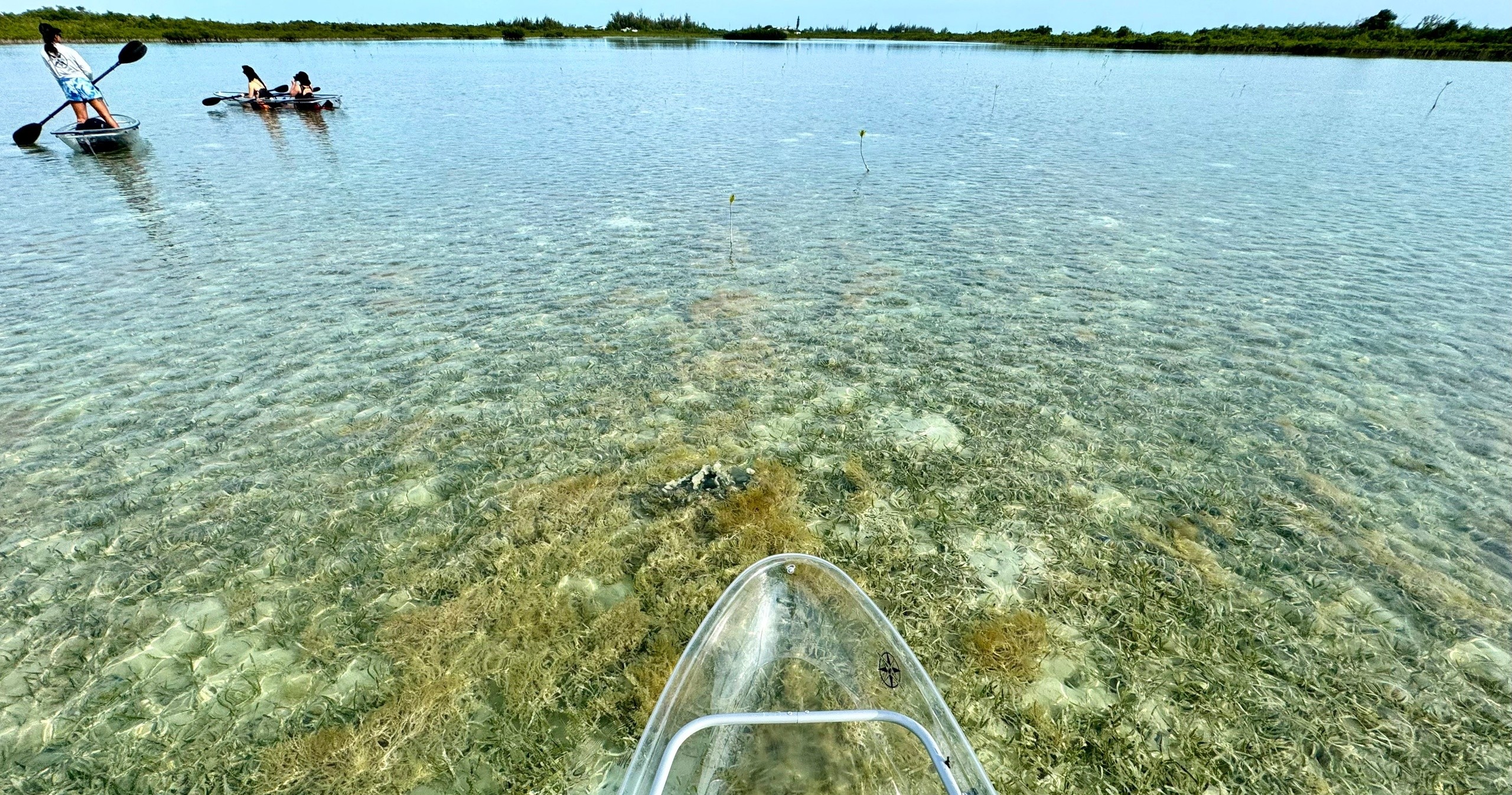 Clear Kayak Tour of Sugarloaf Key image 11