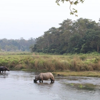 tourhub | Tweet World Travel | Royal Jungle Nepal Wildlife Safari 