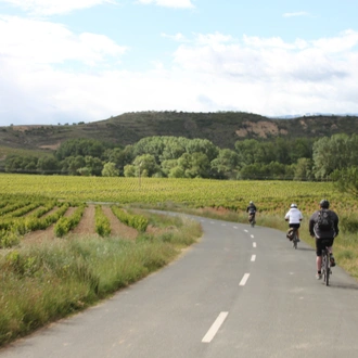 tourhub | Exodus Adventure Travels | Vineyards of La Rioja Cycling 