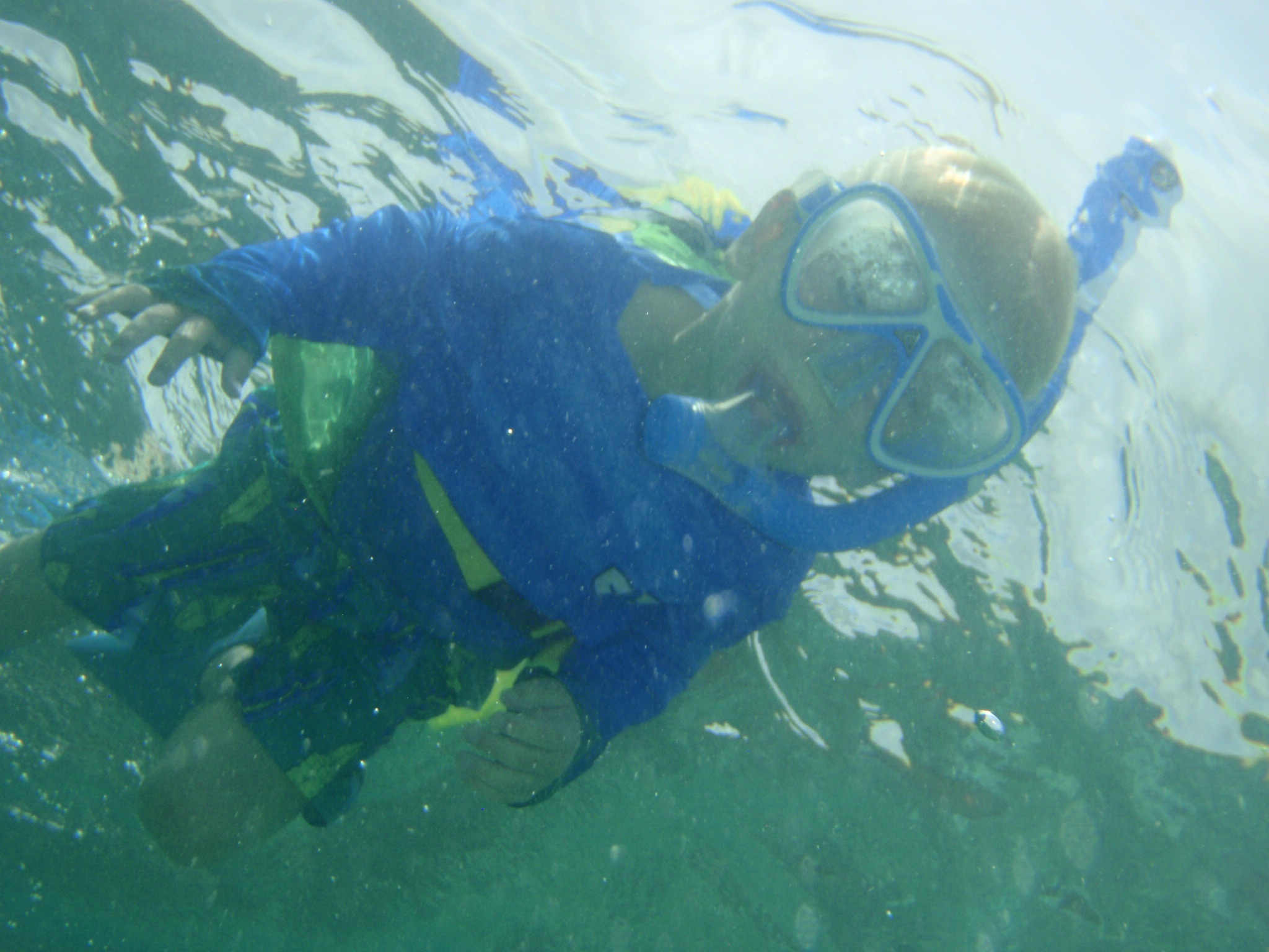 Looe Key Snorkeling and Wreck Trolling Adventure