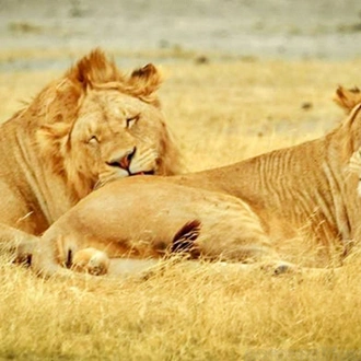 tourhub | Across Africa Tours Travel | Tanzania and Kenya Safari for Seniors 10Days/9Nights 