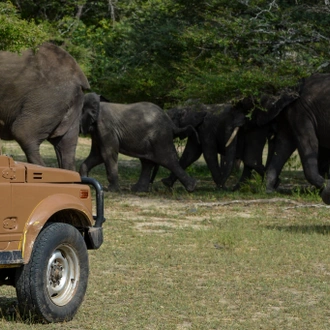 tourhub | Beach and Safari Holidays | Beach & Safari Holiday 