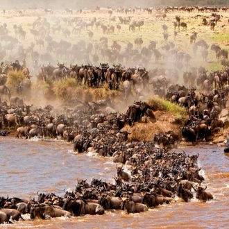 tourhub | Warm and Wild Safaris | 9 Days Road and Air Kenya Family Safari 