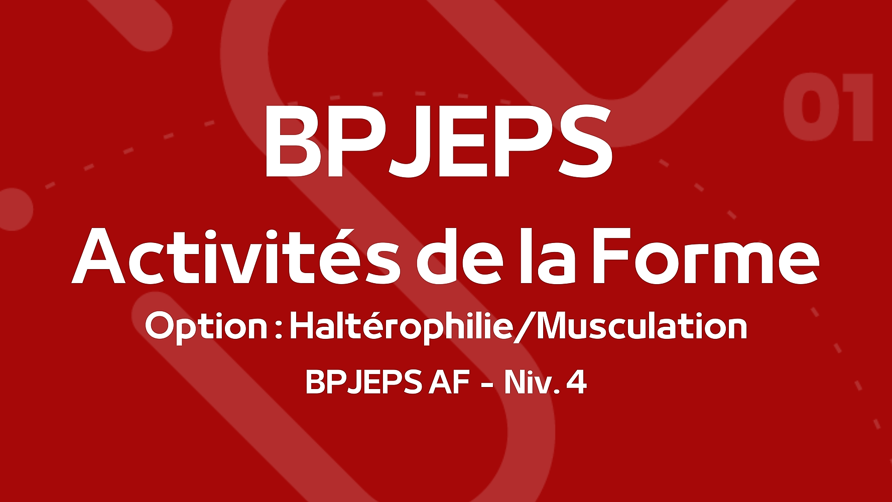 Représentation de la formation : BPJEPS Activités de la Forme option Haltérophilie / Musculation