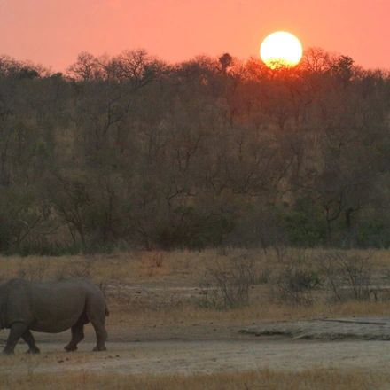 South Africa: Walking & Wildlife