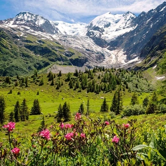 tourhub | Explore! | Tour du Mont Blanc Trek 