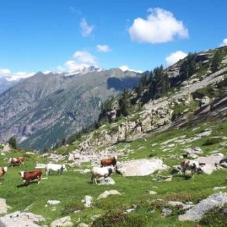 tourhub | UTracks | Monte Rosa Alpine Hike 