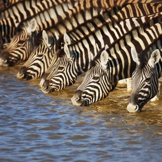 tourhub | ATC Namibia | Beautiful Contrasts of Northern Namibia, Private Tour (On Request) 