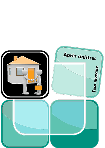 Représentation de la formation : Environnement spécifique du monde de l'après sinistres