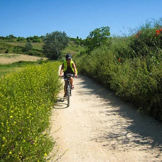 tourhub | Bamba Travel | Camino de Santiago Biking Adventure 7D/6N (from Porto) 