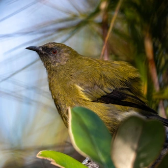 tourhub | Heritage Expeditions | Unseen Stewart Island 