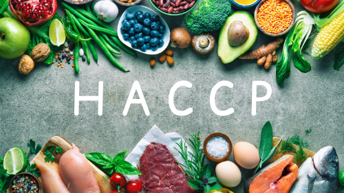 Représentation de la formation : HACCP : Les fondamentaux de l'hygiène alimentaire en cuisine en e-learning